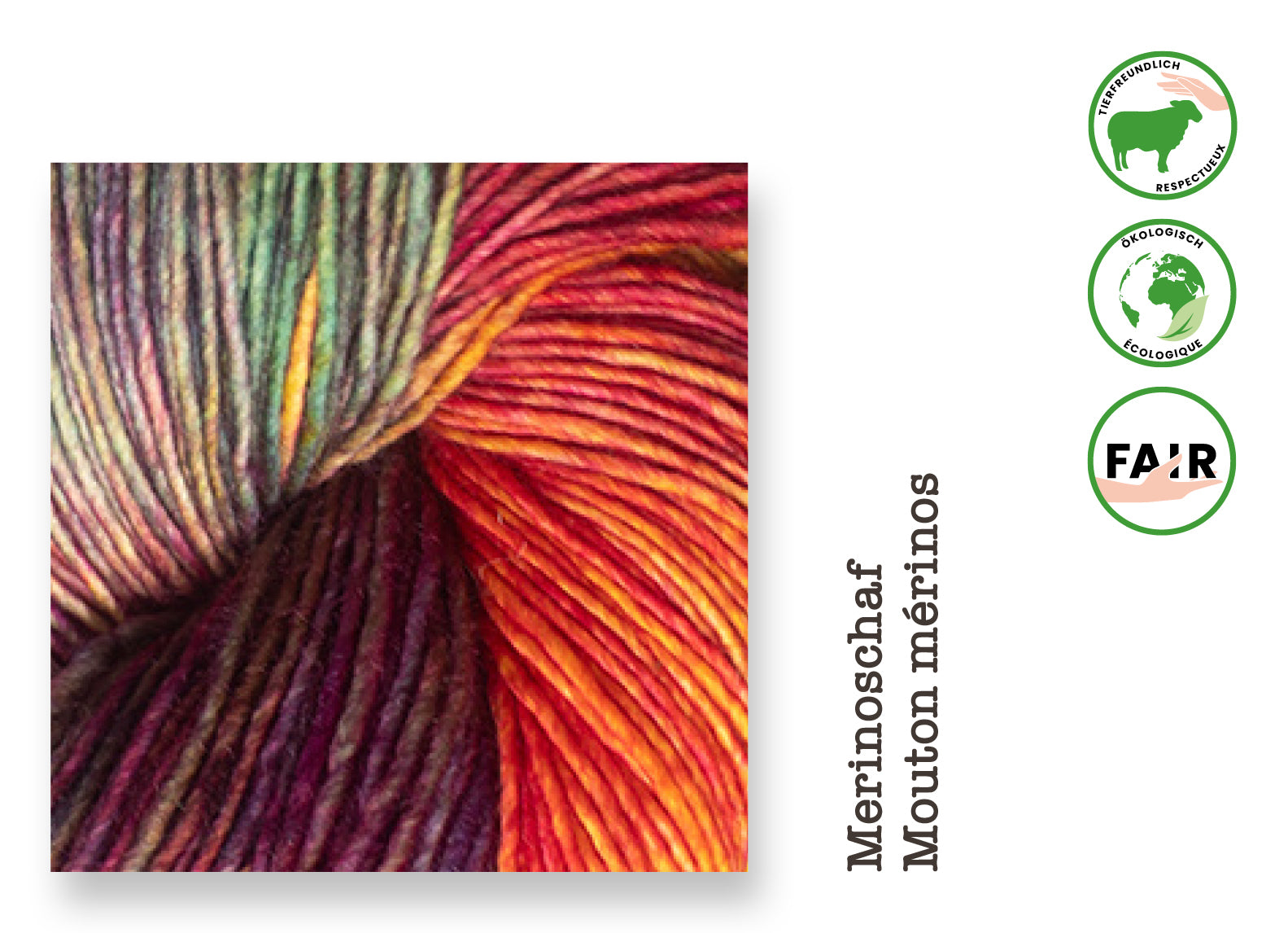 Mechita • Laine vierge mérinos sans mulesing, Malabrigo Yarn