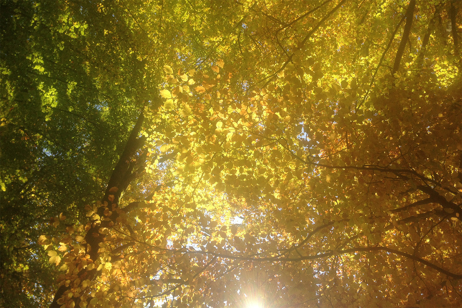 Herbst