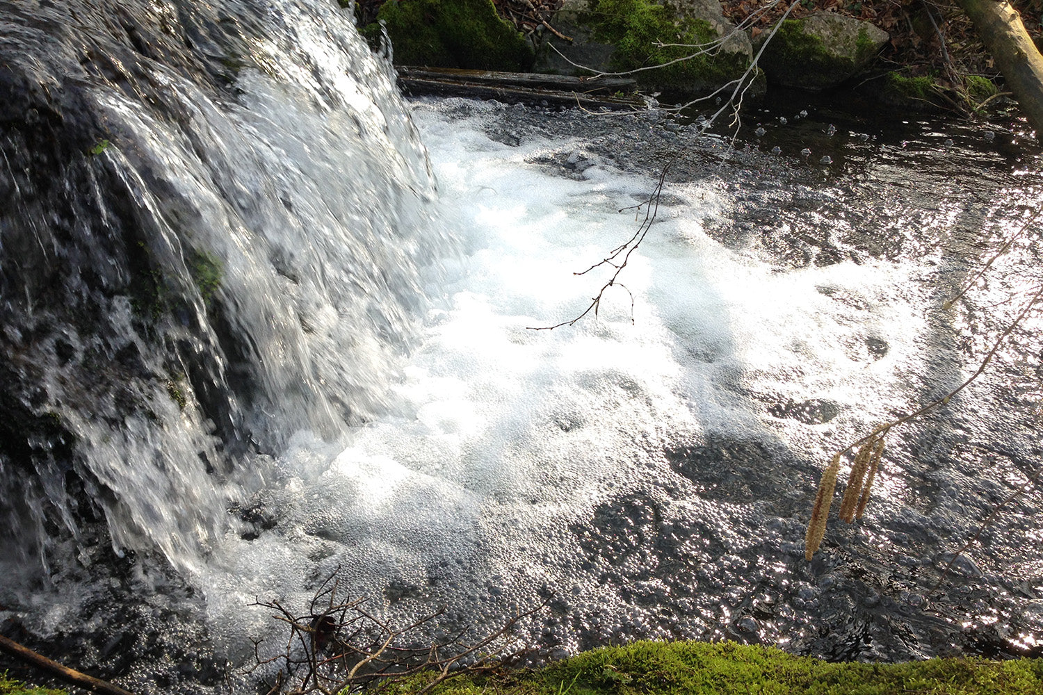 Wasser
